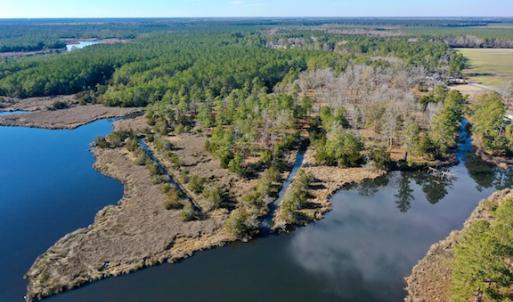 Photo #10 of SOLD property in Off Highway 304, Bayboro, NC 16.6 acres