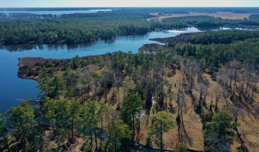 Photo #13 of SOLD property in Off Highway 304, Bayboro, NC 16.6 acres