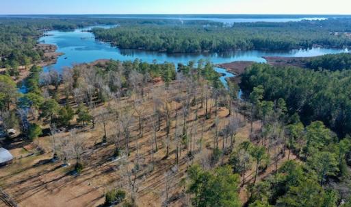 Photo #16 of SOLD property in Off Highway 304, Bayboro, NC 16.6 acres