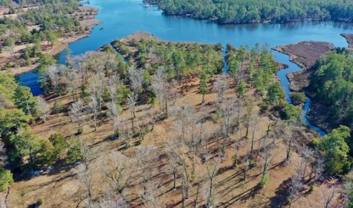 Photo #17 of SOLD property in Off Highway 304, Bayboro, NC 16.6 acres