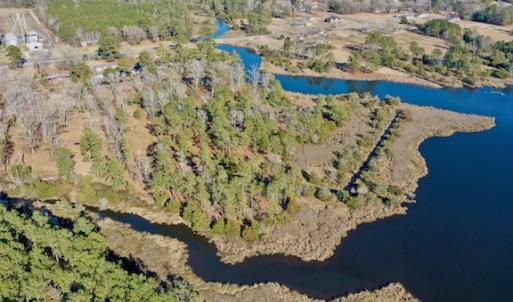 Photo #20 of SOLD property in Off Highway 304, Bayboro, NC 16.6 acres