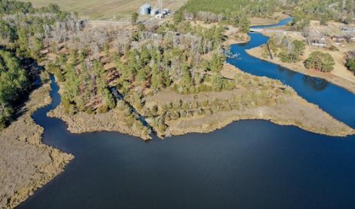 Photo #21 of SOLD property in Off Highway 304, Bayboro, NC 16.6 acres