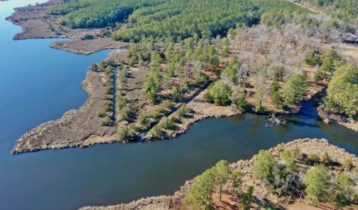 Photo #23 of SOLD property in Off Highway 304, Bayboro, NC 16.6 acres