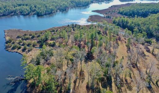 Photo #24 of SOLD property in Off Highway 304, Bayboro, NC 16.6 acres