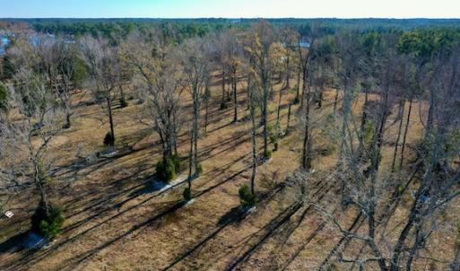 Photo #29 of SOLD property in Off Highway 304, Bayboro, NC 16.6 acres