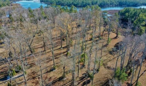 Photo #31 of SOLD property in Off Highway 304, Bayboro, NC 16.6 acres