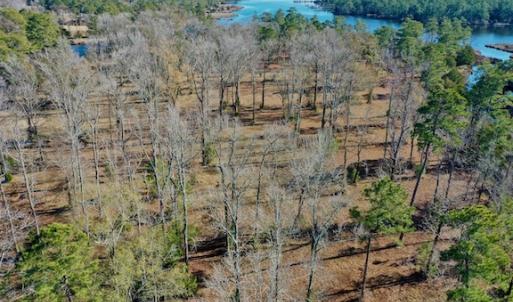 Photo #32 of SOLD property in Off Highway 304, Bayboro, NC 16.6 acres