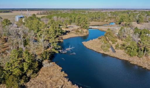 Photo #36 of SOLD property in Off Highway 304, Bayboro, NC 16.6 acres
