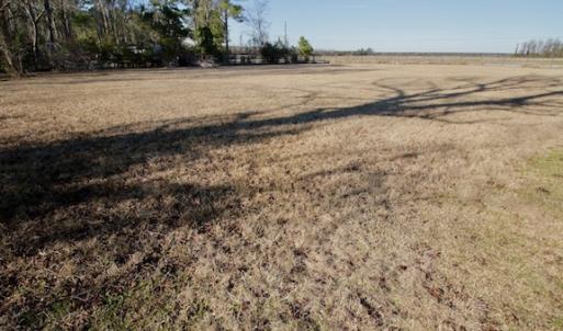 Photo #37 of SOLD property in Off Highway 304, Bayboro, NC 16.6 acres