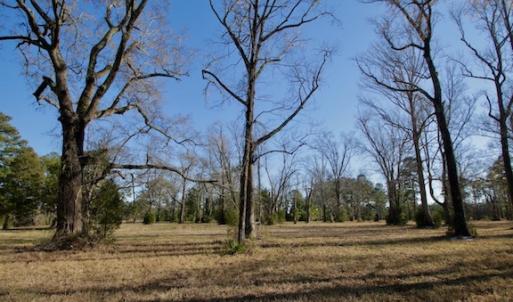 Photo #38 of SOLD property in Off Highway 304, Bayboro, NC 16.6 acres