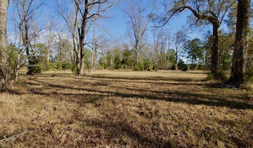 Photo #41 of SOLD property in Off Highway 304, Bayboro, NC 16.6 acres
