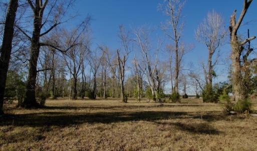 Photo #49 of SOLD property in Off Highway 304, Bayboro, NC 16.6 acres