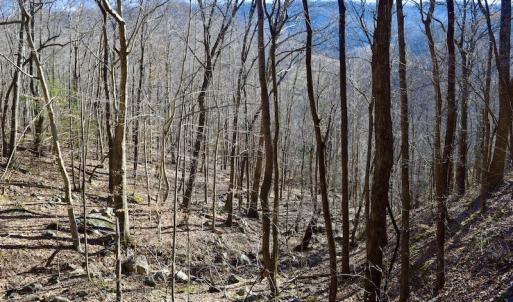 Photo #32 of SOLD property in 6903 Wolf Creek Hwy, Narrows, VA 107.2 acres