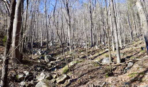 Photo #33 of SOLD property in 6903 Wolf Creek Hwy, Narrows, VA 107.2 acres