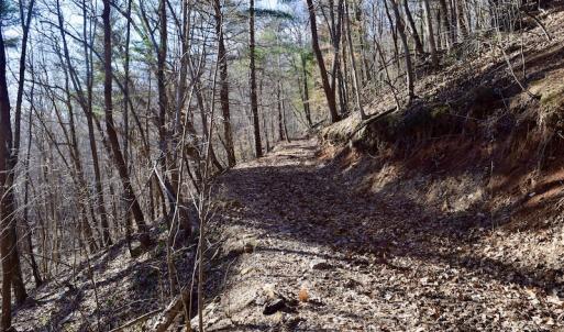 Photo #34 of SOLD property in 6903 Wolf Creek Hwy, Narrows, VA 107.2 acres