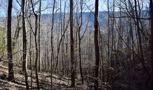 Photo #36 of SOLD property in 6903 Wolf Creek Hwy, Narrows, VA 107.2 acres