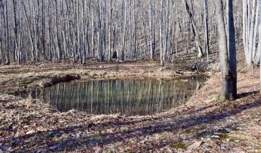 Photo #44 of SOLD property in 6903 Wolf Creek Hwy, Narrows, VA 107.2 acres