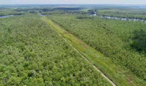 Photo #48 of SOLD property in Off Knobbs Creek Road, Elizabeth City, NC 611.0 acres
