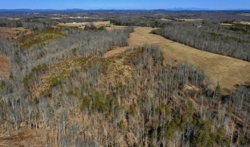 Photo #10 of SOLD property in Off Colonial Turnpike, Rocky Mount, VA 96.1 acres