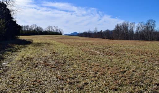 Photo #17 of SOLD property in Off Colonial Turnpike, Rocky Mount, VA 96.1 acres
