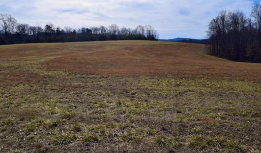 Photo #20 of SOLD property in Off Colonial Turnpike, Rocky Mount, VA 96.1 acres