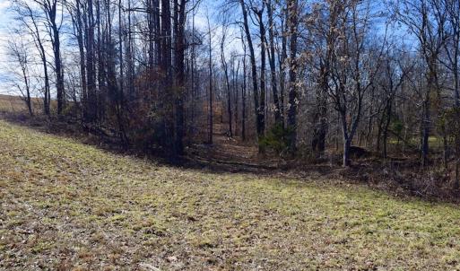 Photo #21 of SOLD property in Off Colonial Turnpike, Rocky Mount, VA 96.1 acres