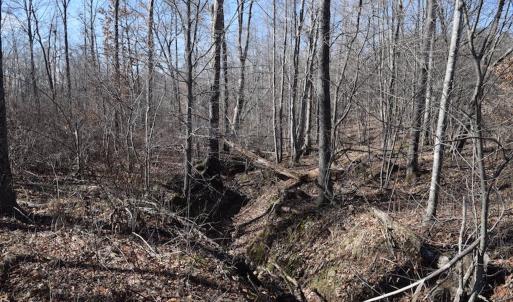 Photo #23 of SOLD property in Off Colonial Turnpike, Rocky Mount, VA 96.1 acres