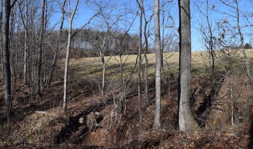 Photo #24 of SOLD property in Off Colonial Turnpike, Rocky Mount, VA 96.1 acres