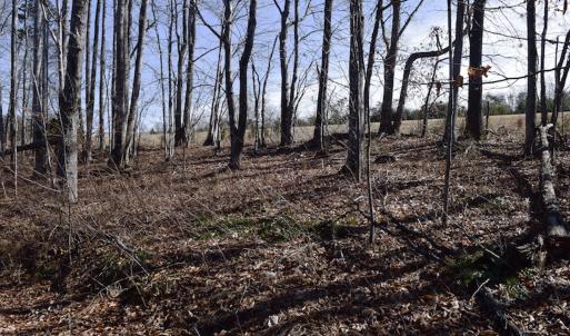 Photo #26 of SOLD property in Off Colonial Turnpike, Rocky Mount, VA 96.1 acres