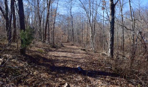 Photo #27 of SOLD property in Off Colonial Turnpike, Rocky Mount, VA 96.1 acres