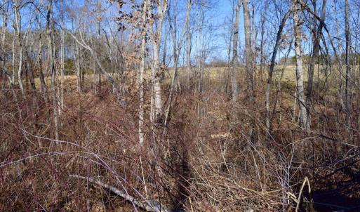 Photo #28 of SOLD property in Off Colonial Turnpike, Rocky Mount, VA 96.1 acres