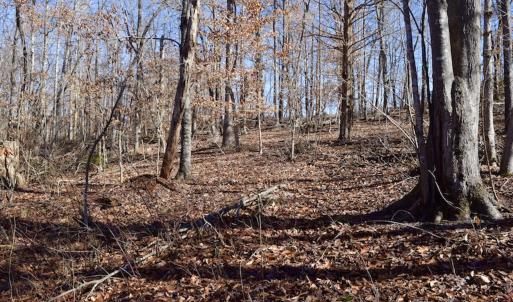 Photo #29 of SOLD property in Off Colonial Turnpike, Rocky Mount, VA 96.1 acres