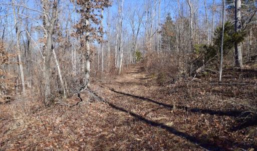 Photo #31 of SOLD property in Off Colonial Turnpike, Rocky Mount, VA 96.1 acres