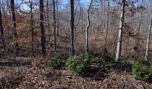 Photo #32 of SOLD property in Off Colonial Turnpike, Rocky Mount, VA 96.1 acres