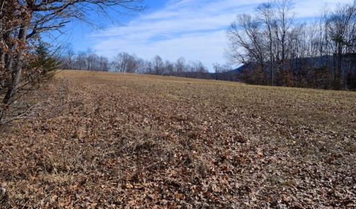 Photo #33 of SOLD property in Off Colonial Turnpike, Rocky Mount, VA 96.1 acres