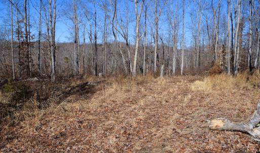 Photo #34 of SOLD property in Off Colonial Turnpike, Rocky Mount, VA 96.1 acres