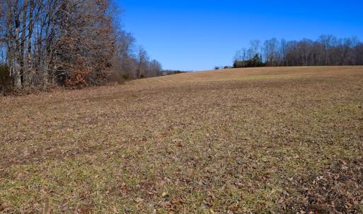 Photo #35 of SOLD property in Off Colonial Turnpike, Rocky Mount, VA 96.1 acres