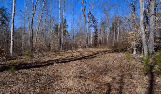 Photo #39 of SOLD property in Off Colonial Turnpike, Rocky Mount, VA 96.1 acres