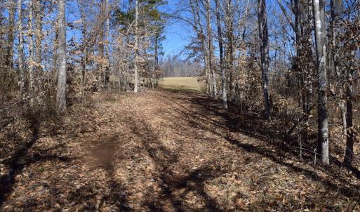 Photo #44 of SOLD property in Off Colonial Turnpike, Rocky Mount, VA 96.1 acres