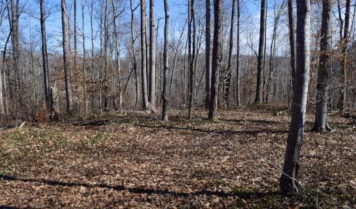 Photo #47 of SOLD property in Off Colonial Turnpike, Rocky Mount, VA 96.1 acres