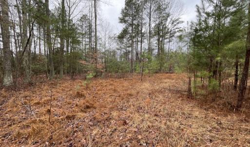 Photo #16 of SOLD property in Off Good Hope Road, Lanexa, VA 26.3 acres