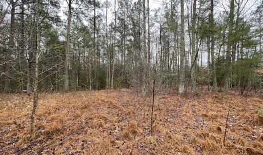Photo #17 of SOLD property in Off Good Hope Road, Lanexa, VA 26.3 acres