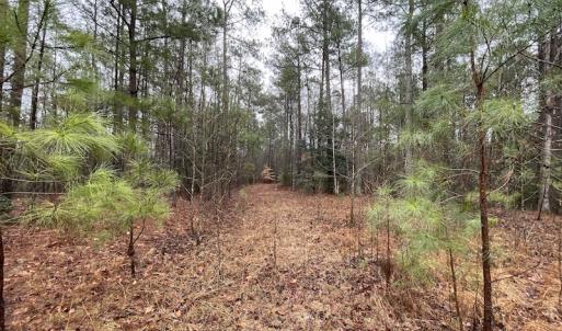 Photo #18 of SOLD property in Off Good Hope Road, Lanexa, VA 26.3 acres