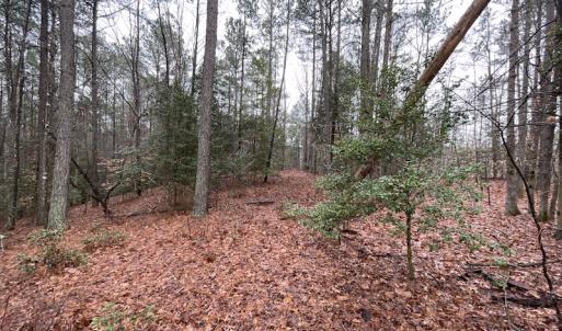 Photo #20 of SOLD property in Off Good Hope Road, Lanexa, VA 26.3 acres