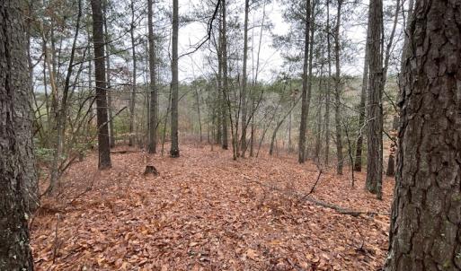 Photo #23 of SOLD property in Off Good Hope Road, Lanexa, VA 26.3 acres