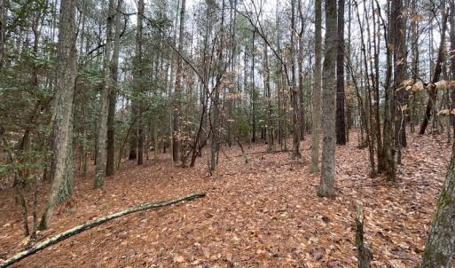 Photo #27 of SOLD property in Off Good Hope Road, Lanexa, VA 26.3 acres