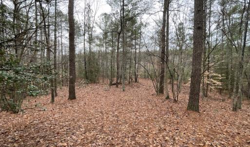 Photo #28 of SOLD property in Off Good Hope Road, Lanexa, VA 26.3 acres