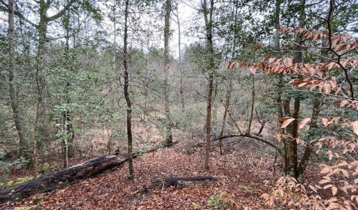 Photo #30 of SOLD property in Off Good Hope Road, Lanexa, VA 26.3 acres
