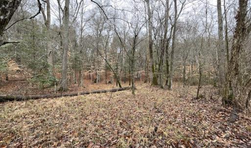 Photo #31 of SOLD property in Off Good Hope Road, Lanexa, VA 26.3 acres