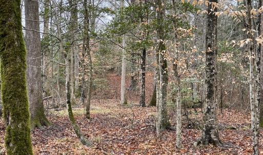 Photo #32 of SOLD property in Off Good Hope Road, Lanexa, VA 26.3 acres